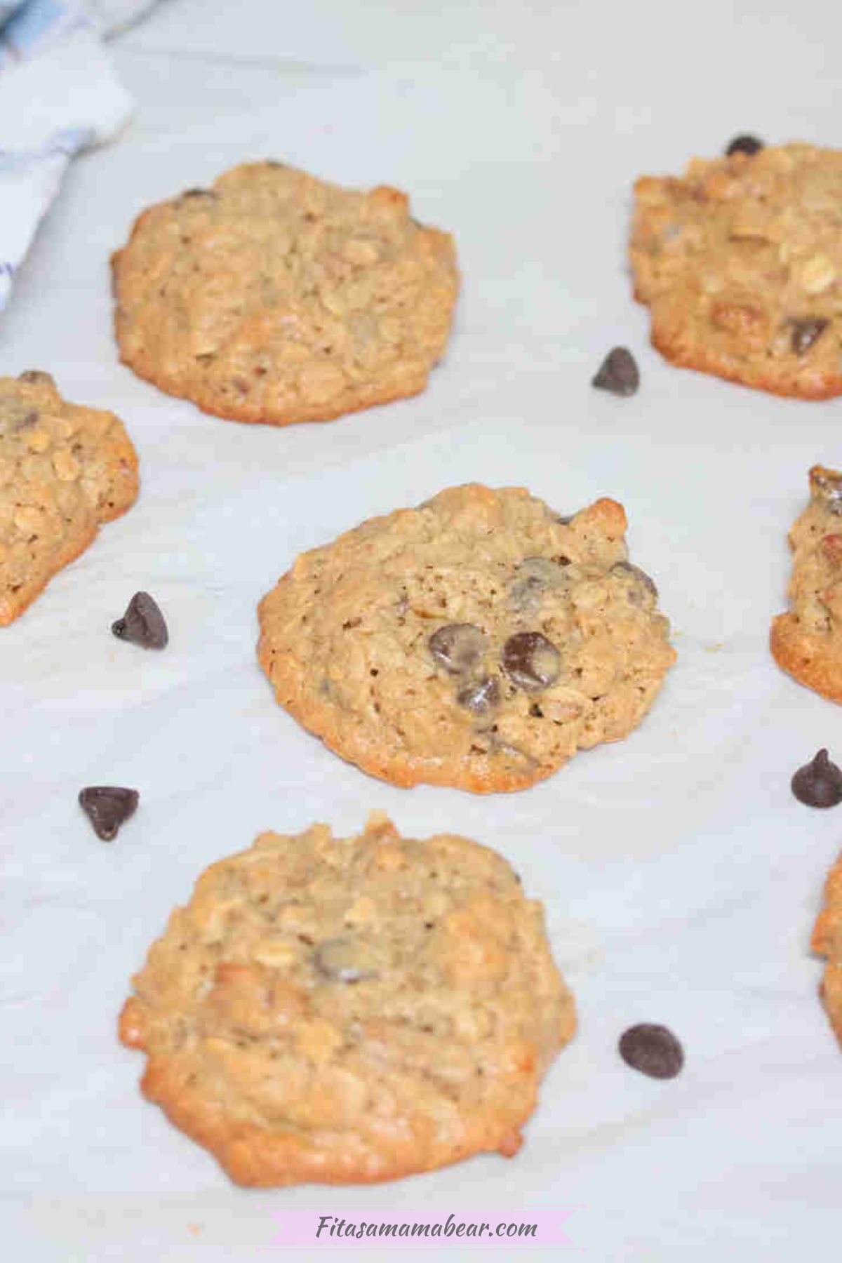 Oatmeal cashew cookies with chocolate chips on parchment paper with chocolate chips around them.