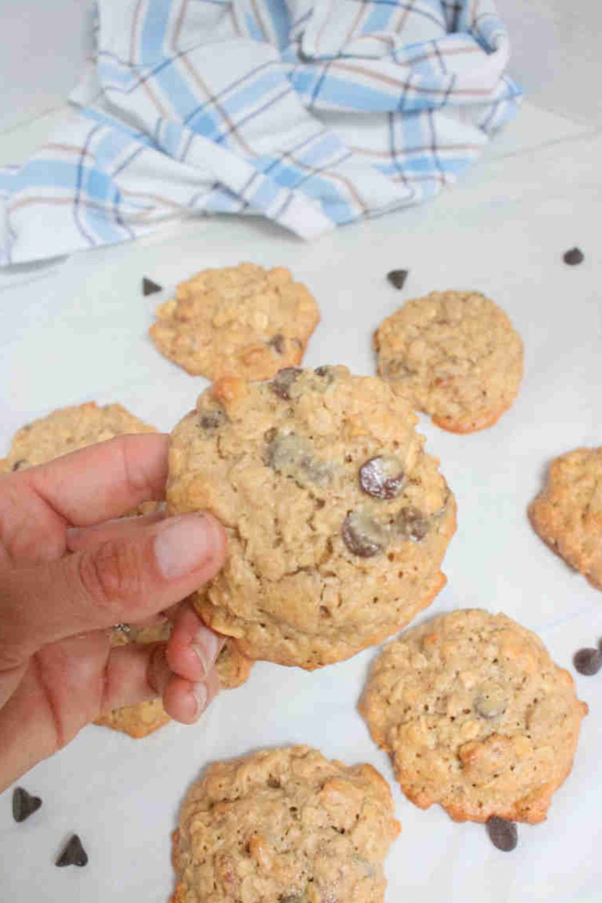 Hand holding up a gluten-free cashew cookie with chocolate chips over more on parchment paper.