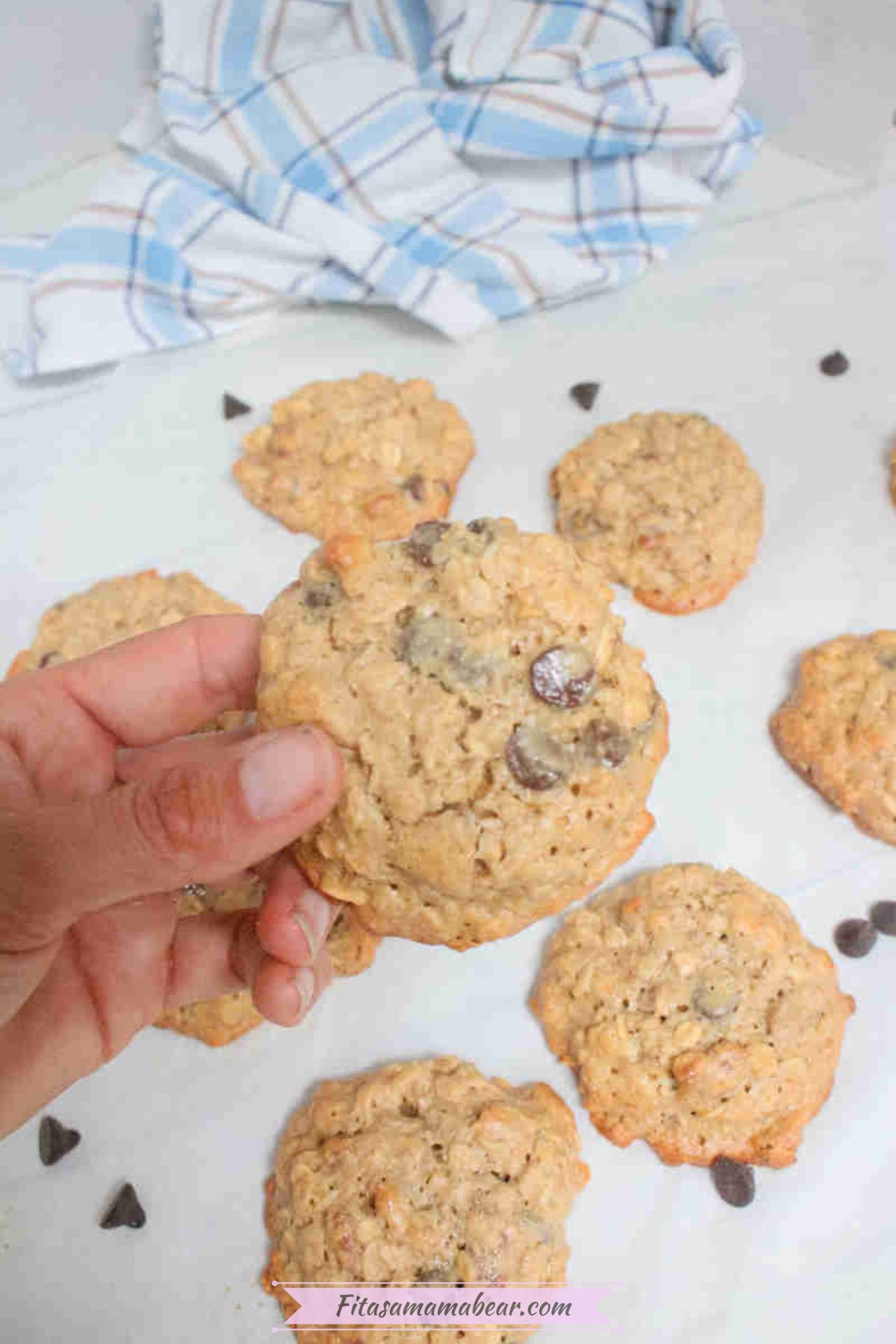 Hand holding up a gluten-free cashew cookie with chocolate chips over more on parchment paper.