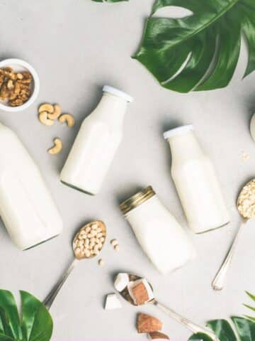 Multiple non-dairy milks in jugs with nuts and seeds around them.