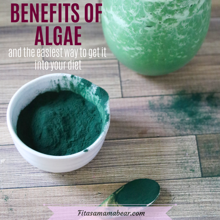 Boosting Your Health with Algae