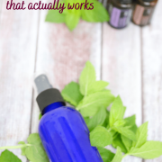 Pinterest image with text: blue cobalt spray bottle with bug spray and mint leaves and essential oils behind it