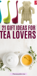 Pinterest image with text: two images, the top of loose leaf tea holders in the shape of dinosauers and a bulldog the bottom image of a white teapot and tea with flowers around it
