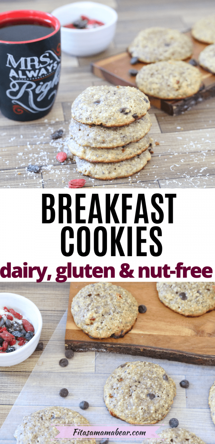 NutFree Breakfast Cookies (no banana, paleo, with video)