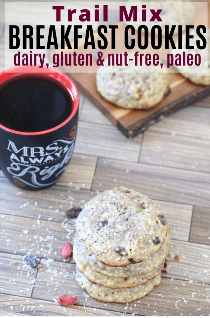 NutFree Breakfast Cookies (no banana, paleo, with video)