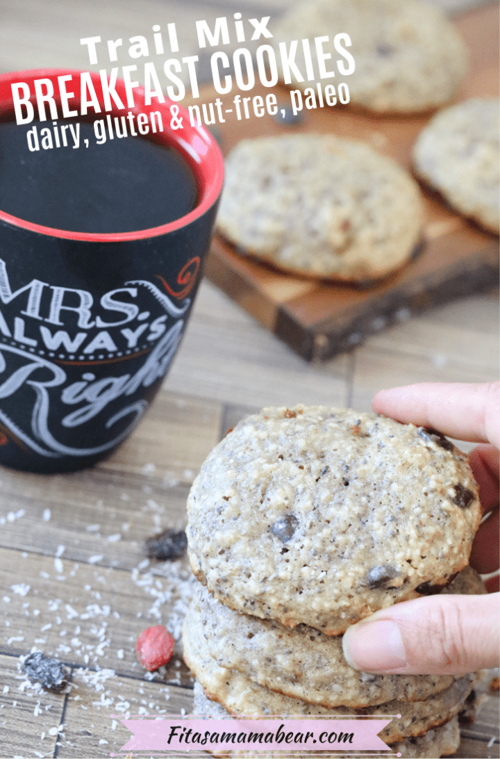 NutFree Breakfast Cookies (no banana, paleo, with video)