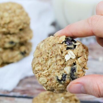 Easy lactation cookie held between two fingers.