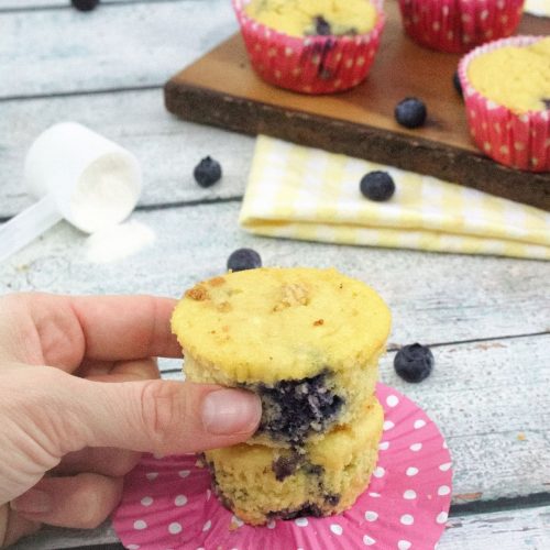 Cakey Blueberry Protein Muffins (Dairy + GlutenFree)