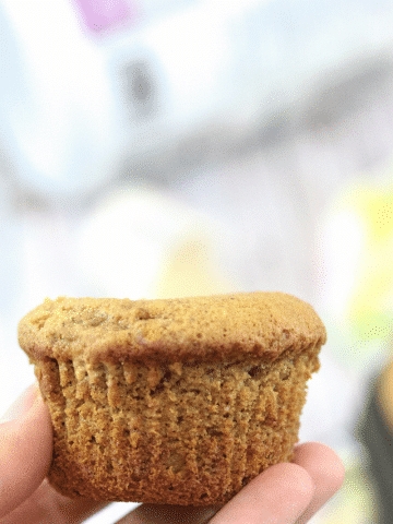 Golden brown peanut butter protein muffin being held in the palm of a hand