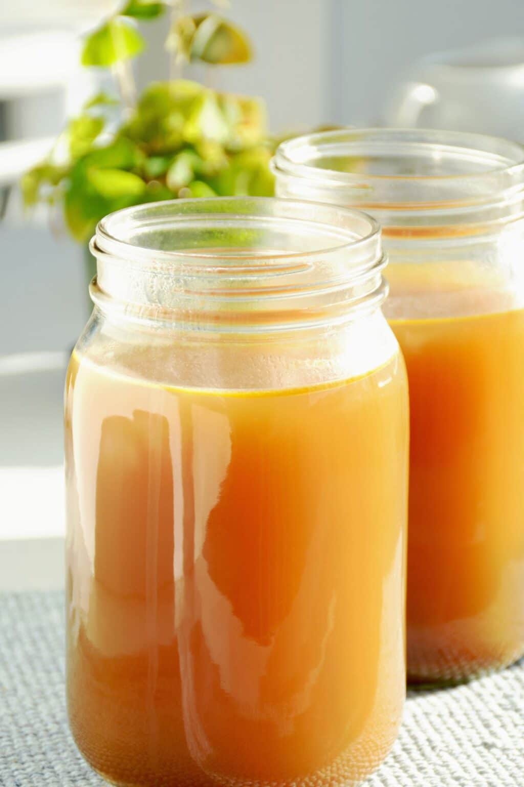 What Is Powdered Bone Broth? Everything You Need To Know What Is Powdered Bone Broth? Everything You Need To Know