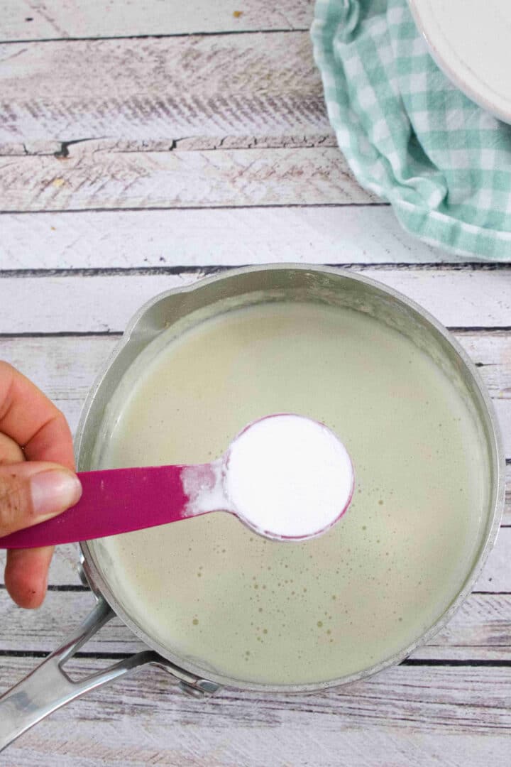 15 Minute Coconut Milk Alfredo Sauce