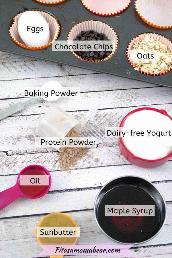 Multiple ingredients to make chocolate protein muffins all in measuring cups and with text labels over top of them and a muffin tray lined with muffin cups behind it.