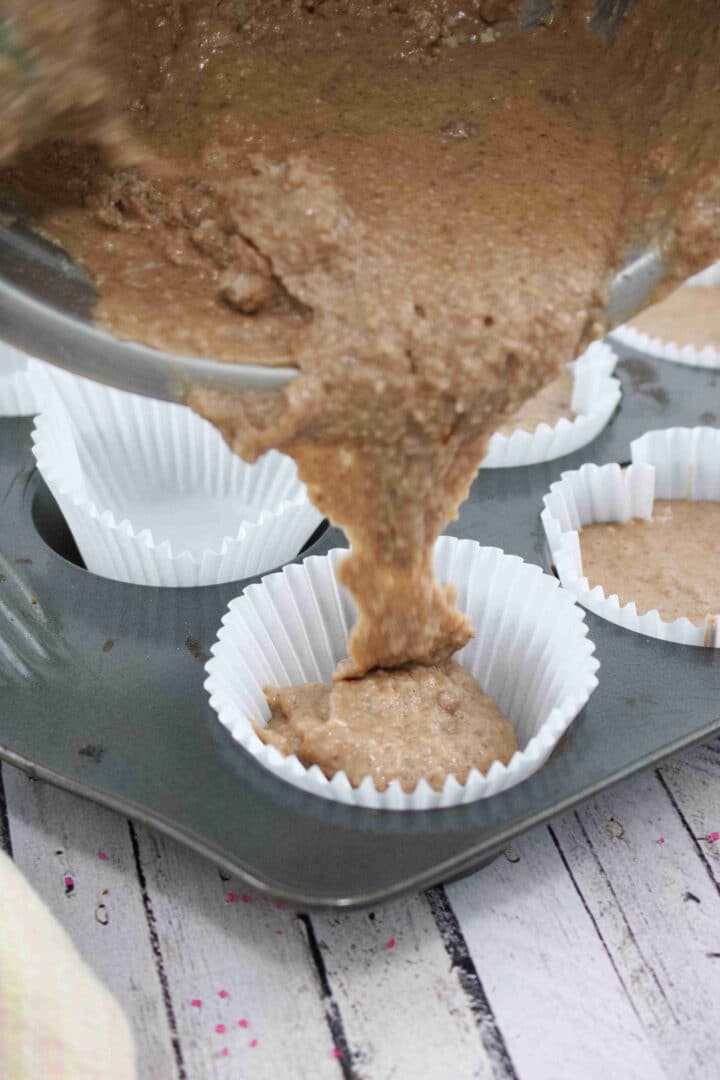 Rich Chocolate Protein Powder Cupcakes (Dairy + GlutenFree)