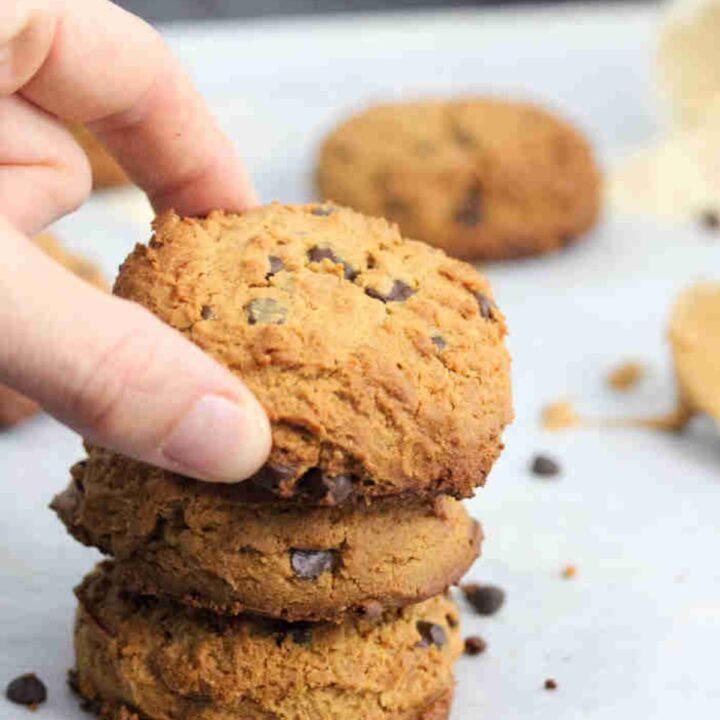 Peanut Butter Chocolate Chip Protein Cookies (dairy + glutenfree)