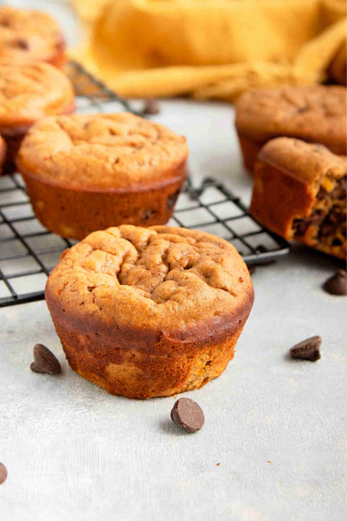 Pumpkin protein muffins on a black cooling rack with one muffin in front of it and chocolate chips around it.