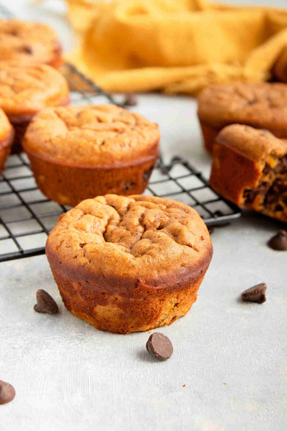 Pumpkin protein muffins on a black cooling rack with one muffin in front of it and chocolate chips around it.