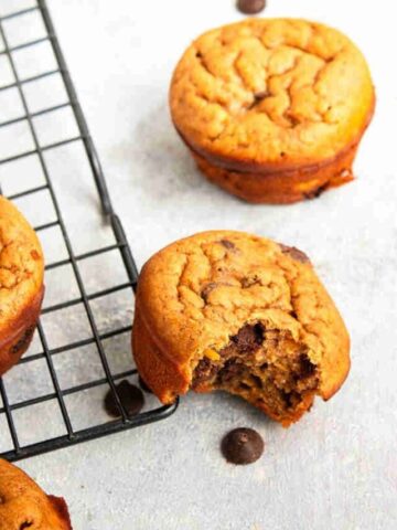 Pumpkin protein muffins on a black cooling rack with one muffin a bite out of it and chocolate chips around it.