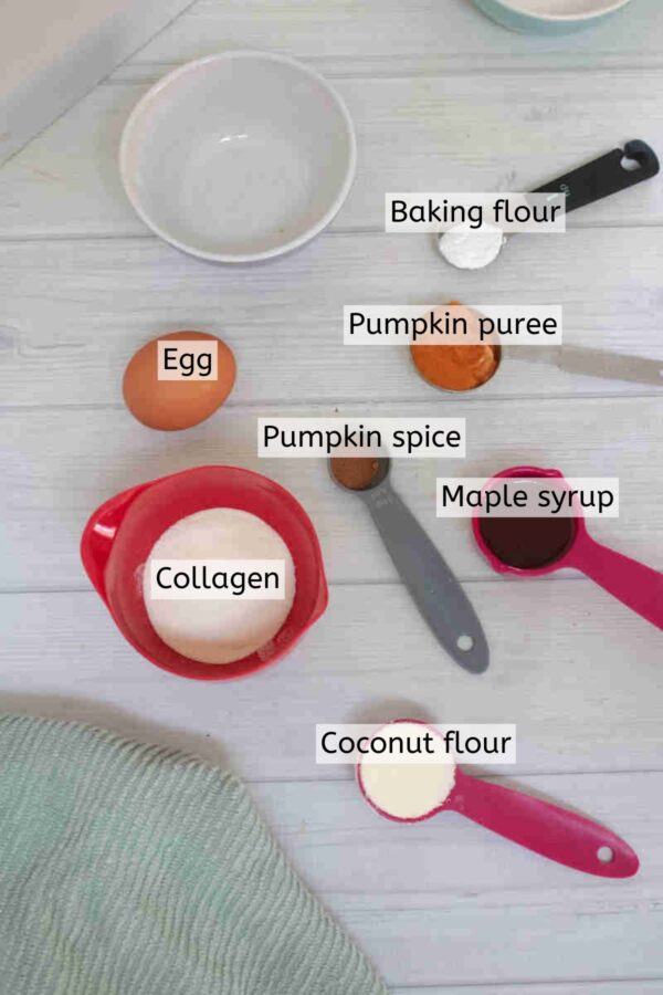 Pumpkin Protein Mug Cake [Gluten Free] - Fit as a Mama Bear