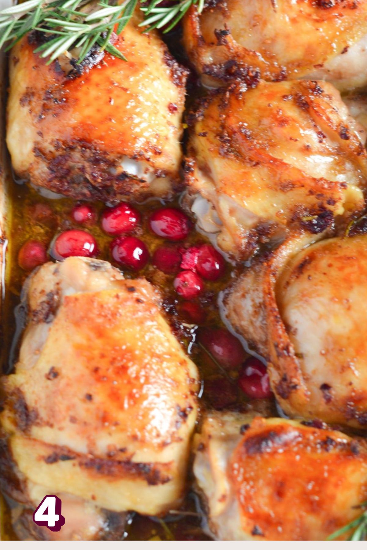 Baked chicken thighs in a white baking pan with cranberries and rosemary.