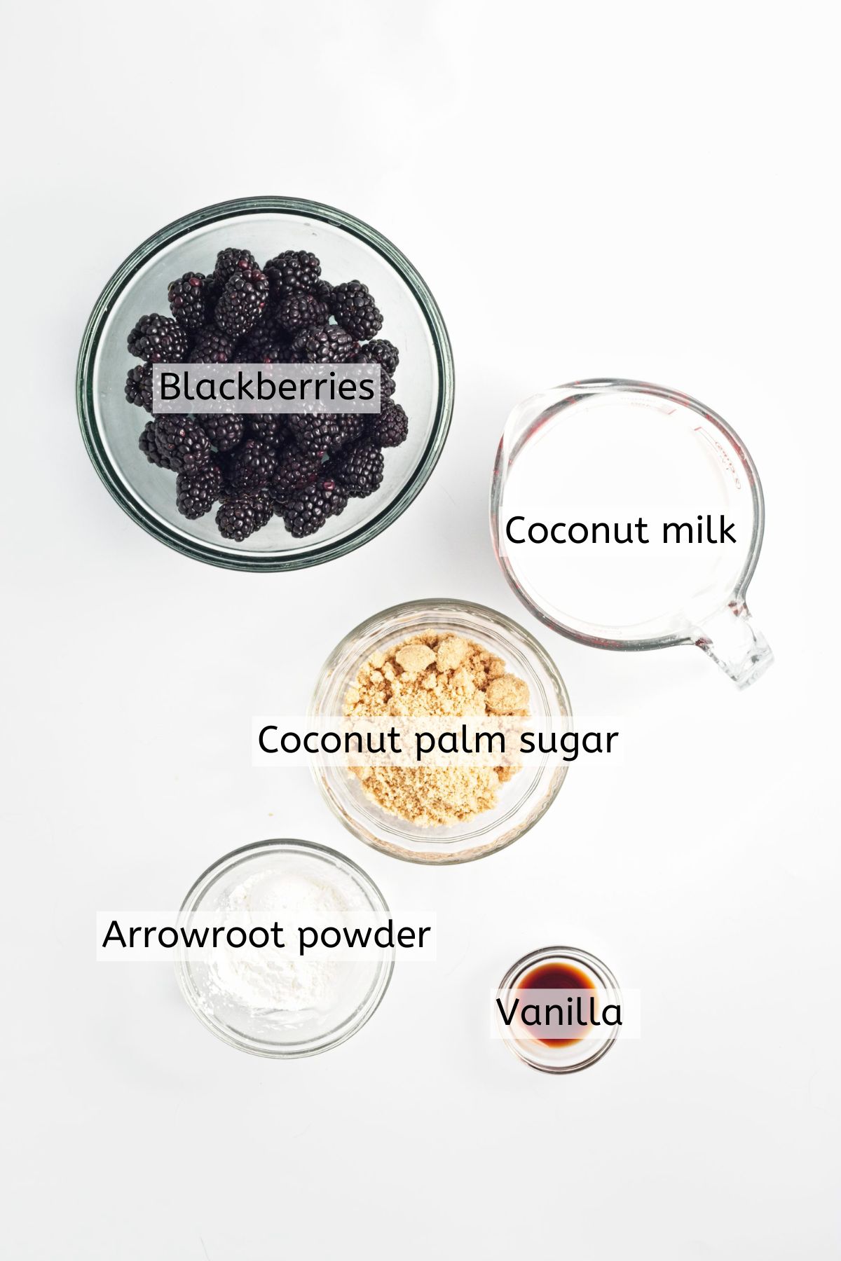blackberries, coconut milk, coconut palm sugar, arrowroot powder, and vanilla with text labels on top